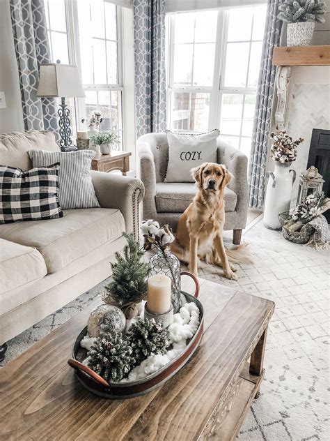 Cozy Winter Living Room decor with Bailey the golden retriever puppy ...