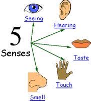 karime: 16. - DISORDERS OF THE SENSE ORGANS