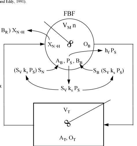 Mass-balance diagram for the model showing the major variables. | Download Scientific Diagram