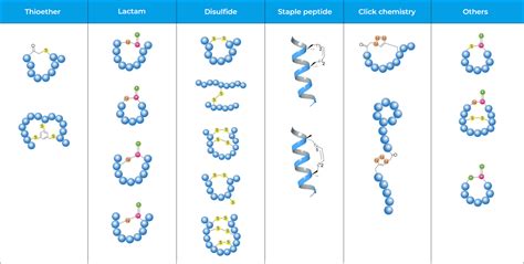 Cyclic Peptide Synthesis Service