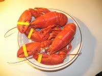 Cooked Lobster Free Stock Photo - Public Domain Pictures