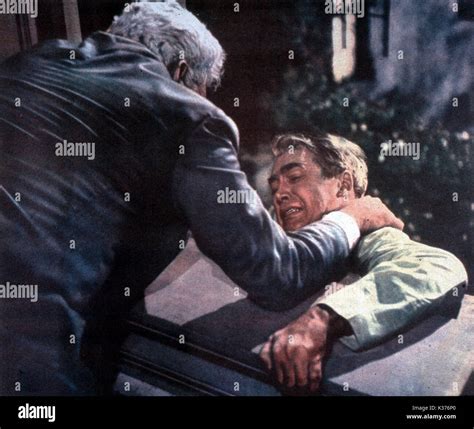 Raymond burr rear window hi-res stock photography and images - Alamy