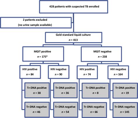 Flow diagram showing tuberculosis (TB) diagnosis based on the urine ...