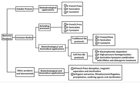 Conventional and optimized cell disruption methods used for ...