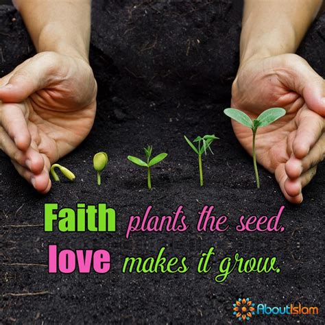 Faith plants the seed, love makes it grow. | Seed quotes, Wisdom quotes, Islamic quotes