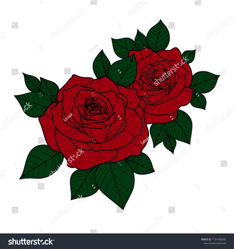 Hand Drawing Red Color Roses Flower Stock Vector (Royalty Free ...