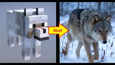 MINECRAFT ANIMALS IN REAL LIFE !!! - YouTube