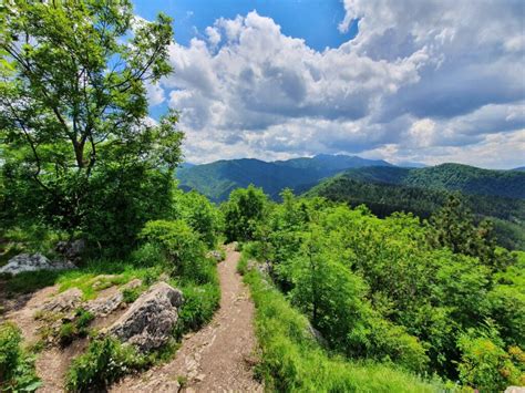 Hiking in Brasov, Hikes in the Carpathian Mountains Romania