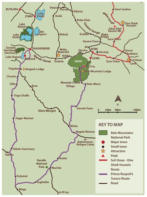 Birding | Bale Mountains National Park Ethiopia