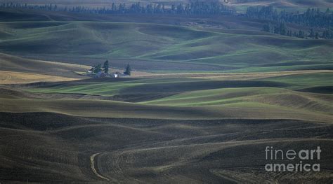 Spring in the Palouse Photograph by Sharon Elliott - Fine Art America