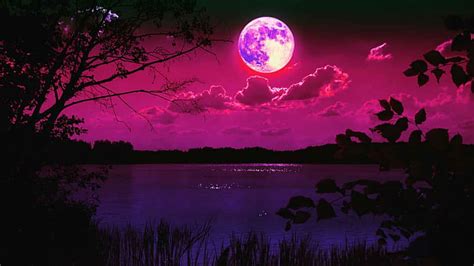 Moonlight, pink, moon, lake, nature, trees, purple, bonito, art, scenic, HD wallpaper | Peakpx