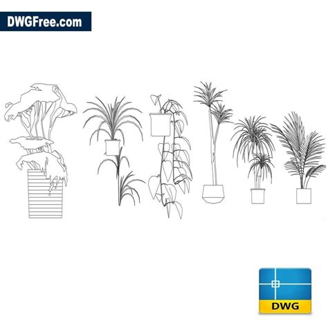 Exotic flower pots DWG