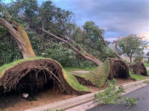 PHOTOS: Storm causes heavy wind damage in Utah