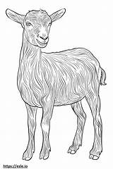 American Pygmy Goat Cute coloring Page sketch template