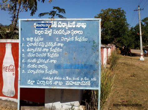 Pillalamarri Banyan Tree in Mahabubnagar - Indian Temples List