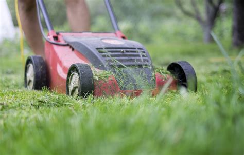 Benefits Of Mulching Grass - Explained | Why Mulch Grass?