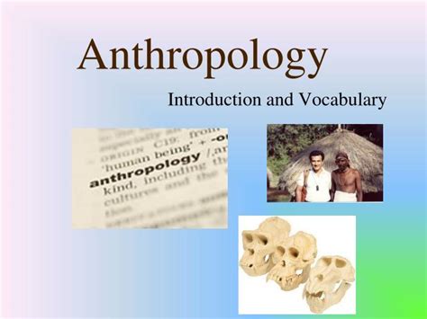 PPT - Anthropology PowerPoint Presentation, free download - ID:6890046