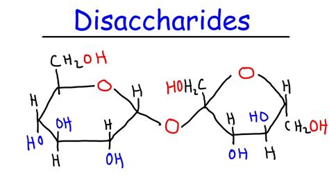 Disaccharide Molecule Structure