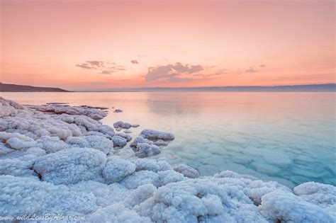 Salt Formations in 2020 | Sea pictures, Jordan dead sea, Most beautiful ...