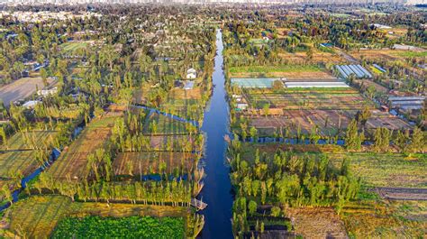 Visitar el Lago Xochimilco: Inmersión de cultura y tradición