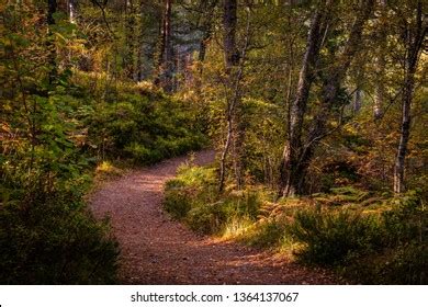 21 Glen affric trail Images, Stock Photos & Vectors | Shutterstock