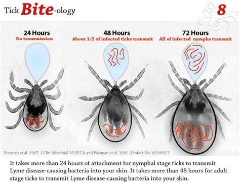 Five Common Diseases Spread by Ticks