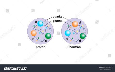 Schematic Structure Proton Neutron Stock Vector (Royalty Free ...