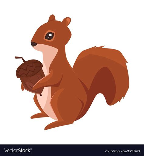 Cartoon style of squirrel with acorn vector image on VectorStock | Squirrel, Squirrel painting ...