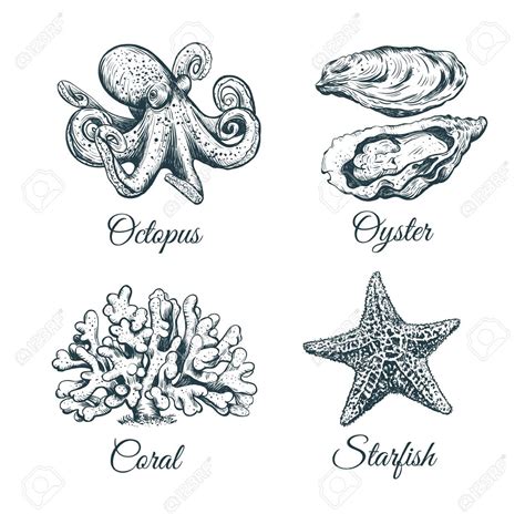 Image result for oyster silhouette vector | Silhouette vector, Crafts, Image