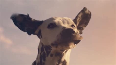 Budweiser Super Bowl commercial: Bud's best ads from the big game