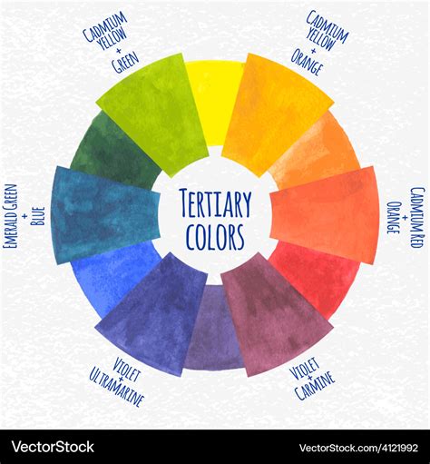 Watercolor tertiary colors chart Royalty Free Vector Image