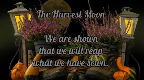 Harvest Moon - Witch Digest