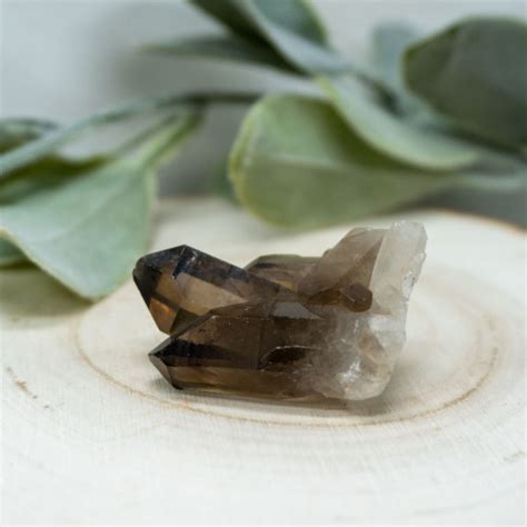 Smoky Quartz Cluster #1 - The Crystal Council