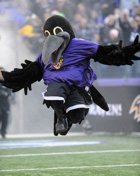 Poe Picture at Baltimore Ravens Photo Store | Baltimore ravens ...