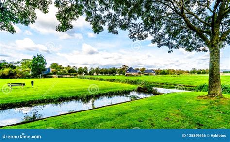 Polder Landscape Of Meadows In Banckspolder On Schiermonnikoog ...