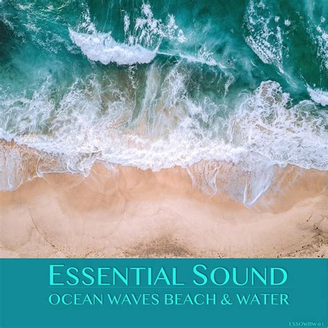 Essential - Ocean Waves Beach And Water | Water Sound Effects Library | Asoundeffect.com