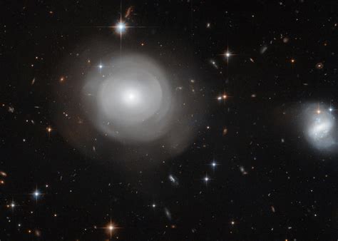 Elliptical galaxy shells the result of collisions.