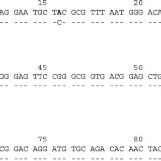 Nucleotide and predicated amino acid sequence of partial exon 5 of the... | Download Scientific ...