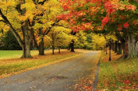 Connecticut Fall Foliage Driving Tours