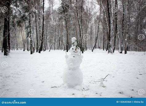 Snowman in snowy park stock photo. Image of happiness - 132643364