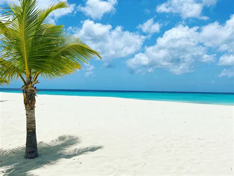 Aruba’s Eagle Beach Makes TripAdvisor’s World’s Best Beaches for 2021 | VisitAruba News