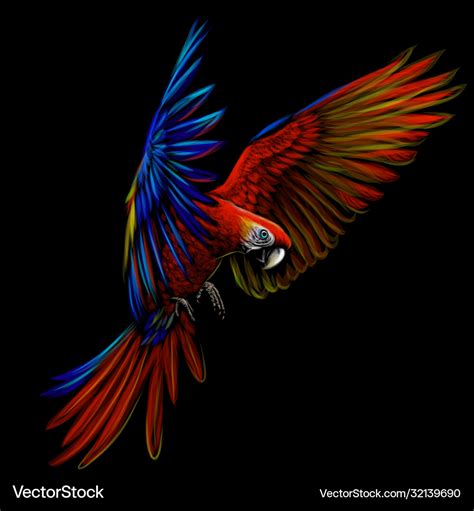 Portrait a macaw parrot in flight Royalty Free Vector Image