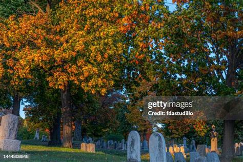 189 Mt Hope Cemetery Stock Photos, High-Res Pictures, and Images - Getty Images