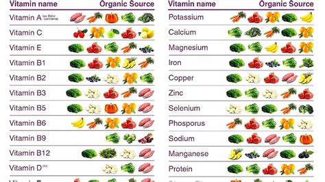 Fruits And Vegetables Rich In Calcium - Vege Choices