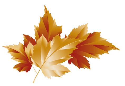 Fall Transparent Leaves Decor Picture | Gallery Yopriceville - High-Quality Images and ...