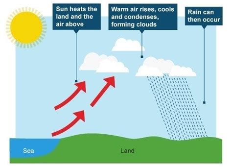 5 types of rainfall