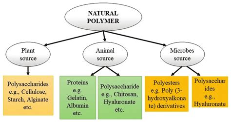 Based on the sources, classification of natural polymer and their examples | Download Scientific ...