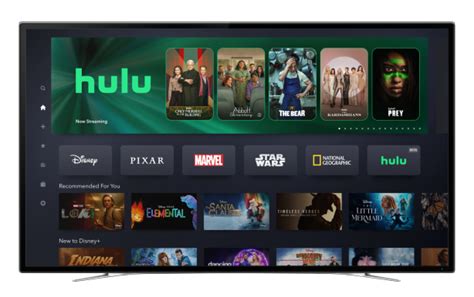 Hulu on Disney+ Beta Launch: What You Need to Know - The Walt Disney ...