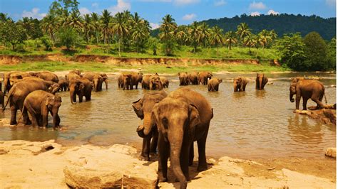 Sri Lanka Holidays 2024/2025 | Low Deposits from £125pp