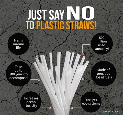 Say NO to plastic straws. #saynotoplastic #nostraws #saveourplanet #savetheplanet | Plastic free ...